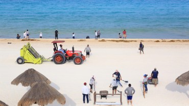 Cancún Sostenible: Descubre el Turismo Ecológico